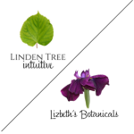 Lindentree Intuitive