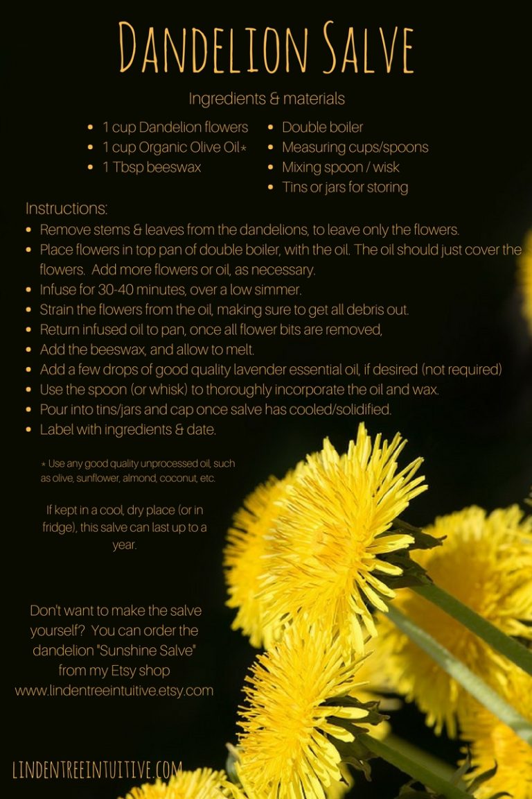 Simple Salve Series - Making a Dandelion Salve
